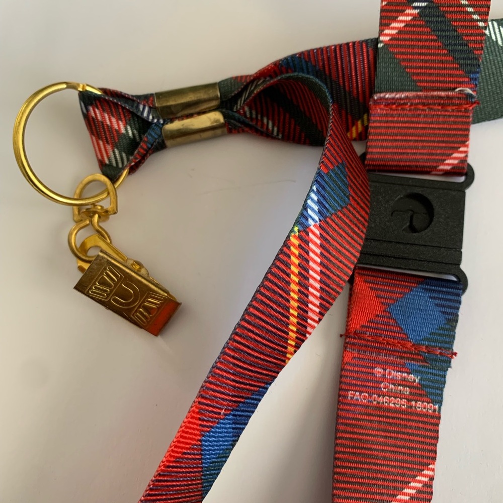 Disney VIP Tours - VIP lanyard medal - Picture 14 of 15